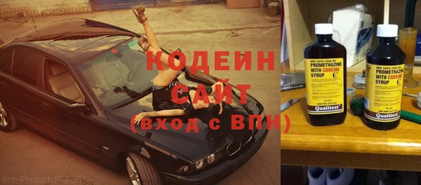 спиды Пересвет