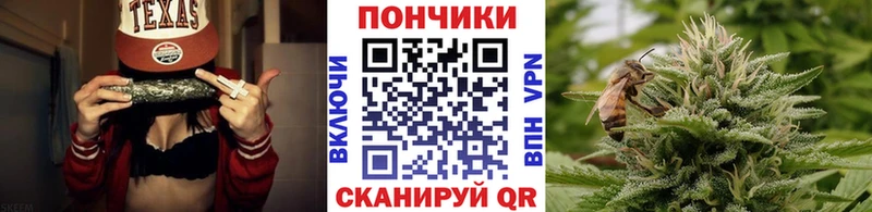 Бошки Шишки ГИДРОПОН  Энем 